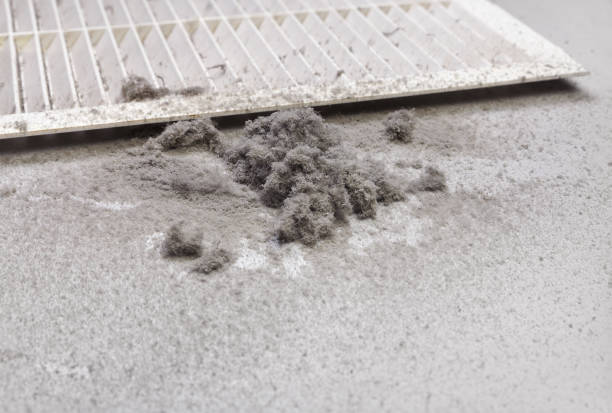 Best Ventilation Cleaning Services  in Inniswold, LA