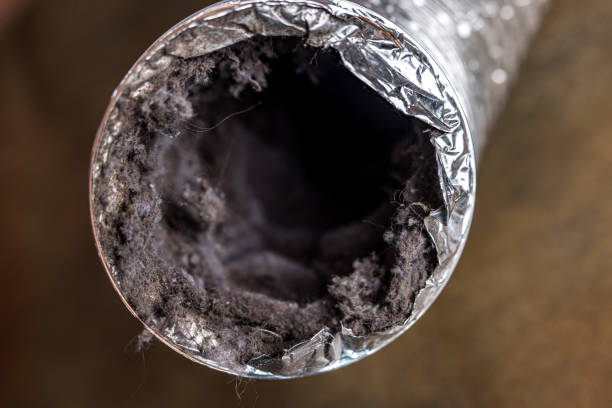 Best Affordable Air Duct Cleaning  in Inniswold, LA