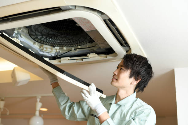 Best Air Duct Cleaning Near Me in Inniswold, LA